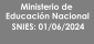 SNIES JUNIO 2024